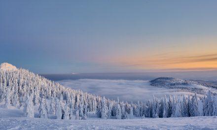 Wintersport im Bayerischen Wald