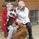 Senior sucht tierischen Gefährten im besten Alter