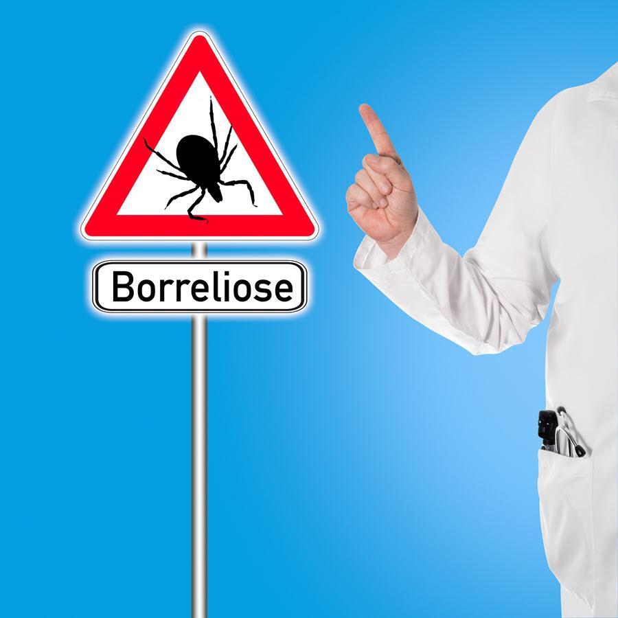 Borreliose_900x900