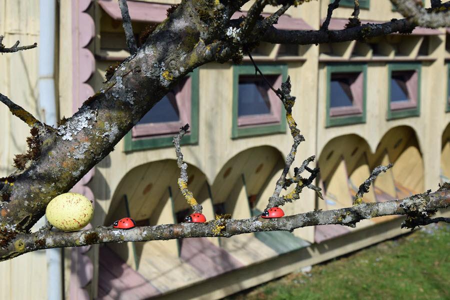 Osterei mit Käfern_900x600