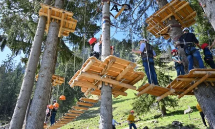 Kletterspaß für Groß und Klein im Waldseilgarten Bad Hindelang