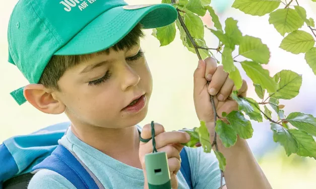 Klimafreundlicher Urlaub in Deutschland