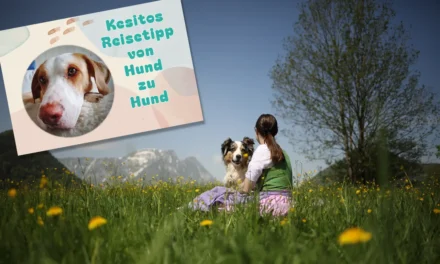 Entspannter Urlaub für Mensch und Tier
