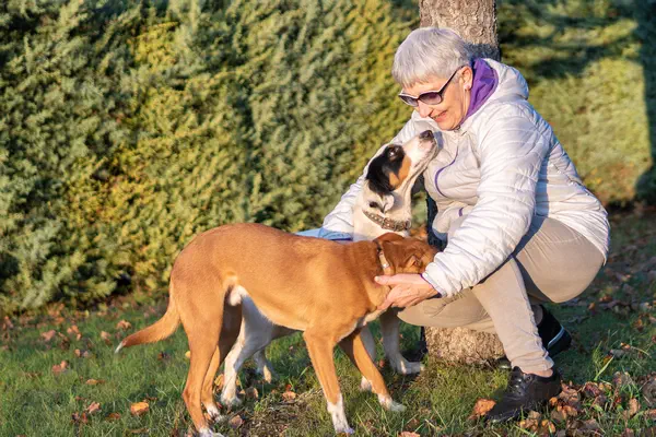 Symbolfoto: Eine Bestagerin mit zwei Hunden im Wald.