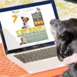 Tierheimhelden – Tiere aus dem Tierheim adoptieren