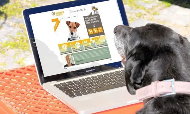 Tierheimhelden – Tiere aus dem Tierheim adoptieren